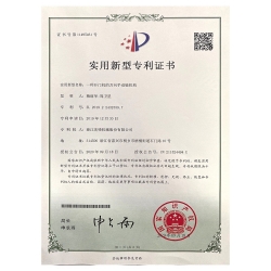 實(shí)用新型專利 (6)